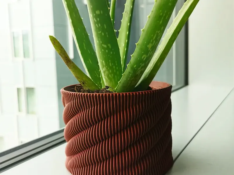 vase