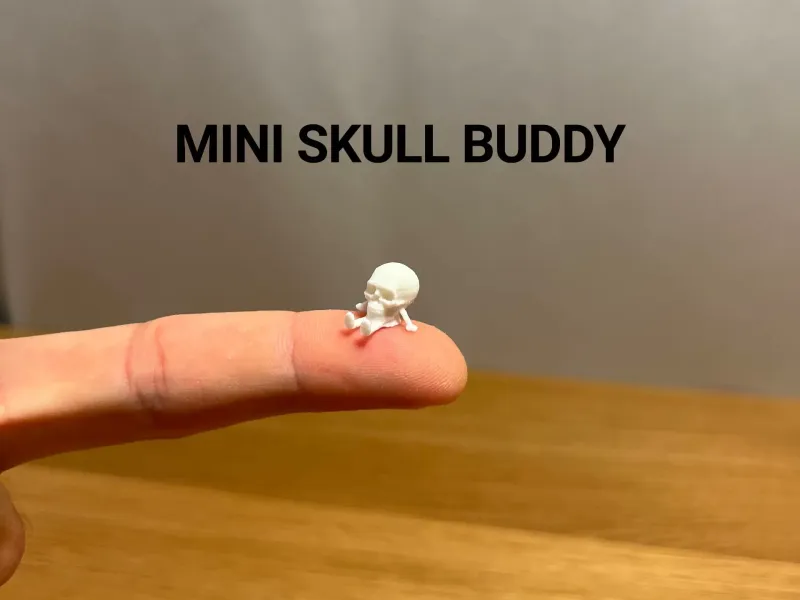 Mini Skull Buddy