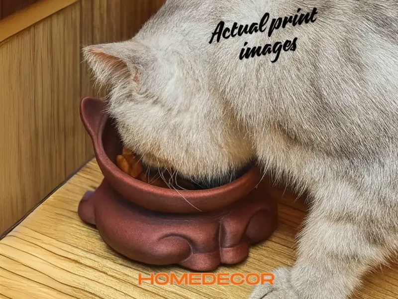 Cat Feeder