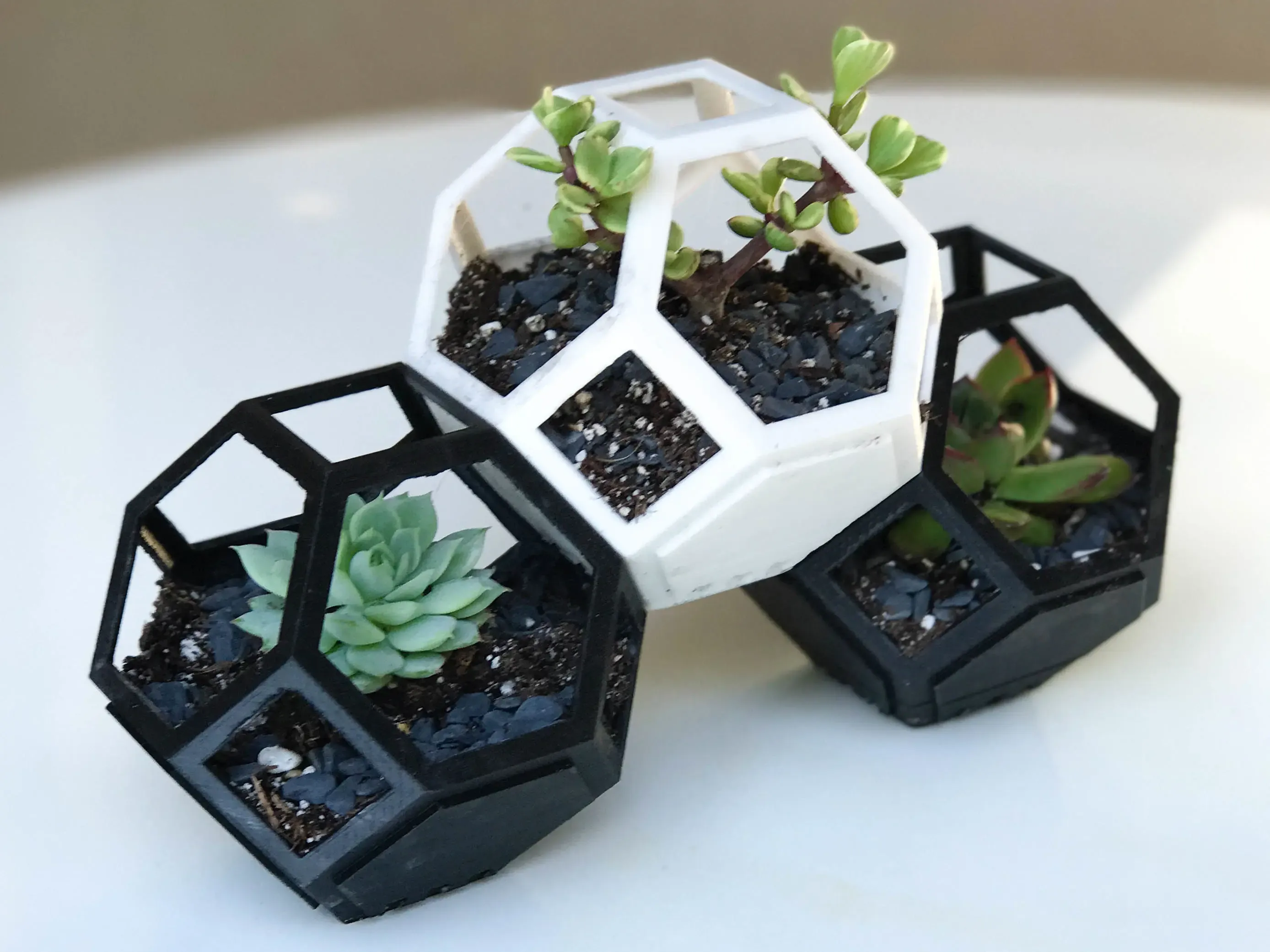 可组装多肉花盆plantygon-modular-geometric-stacking-planter