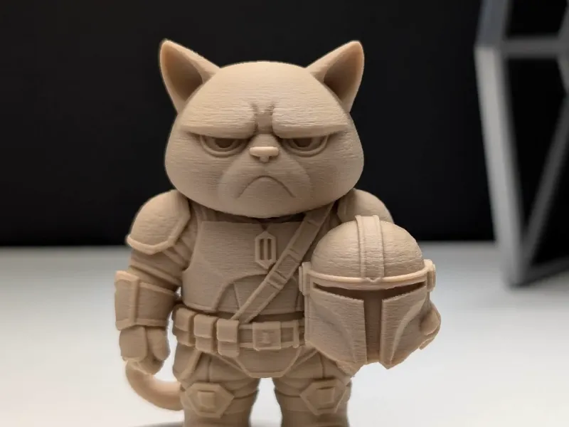 Grumpy Cat Mandalorian