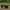 Decretive Sunglasses Model for projects or Decor