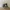 Me and my cat – CubeMe / SnapForm