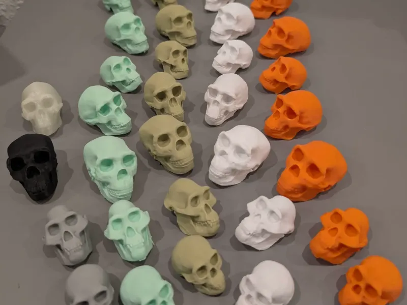 古人类头骨 – 人类进化教育套装 💀🧬