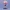宝可梦 小智