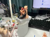 堕天使-1