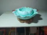 荷花版 多肉花盆-4
