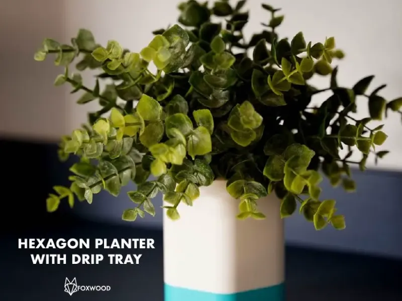 Hexagon Planter With Drip Tray