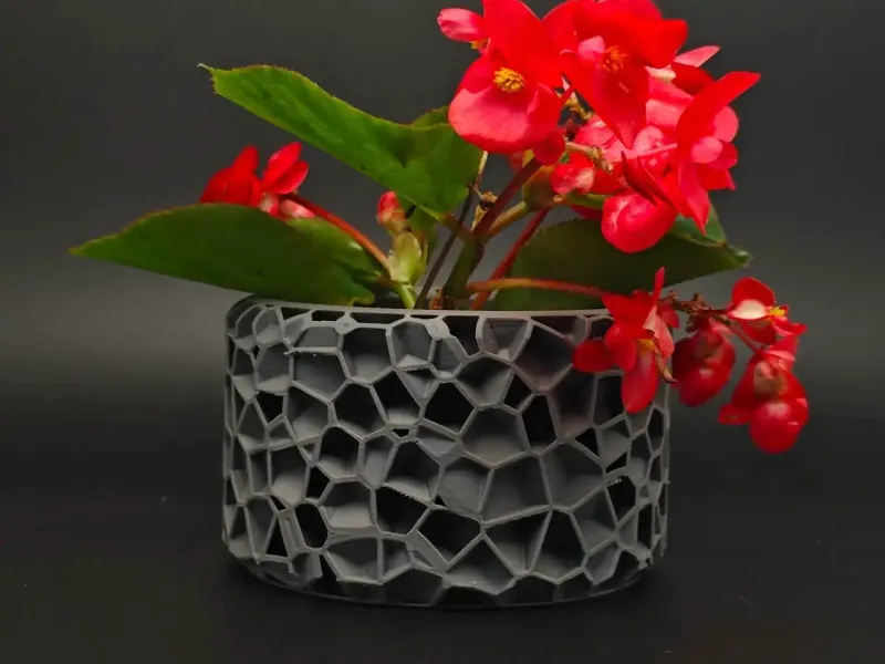 花盆 - Voronoi（泰森多边形）