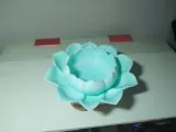 荷花版 多肉花盆-3