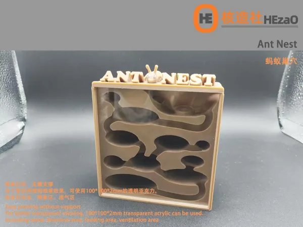 蚂蚁巢穴ant nest