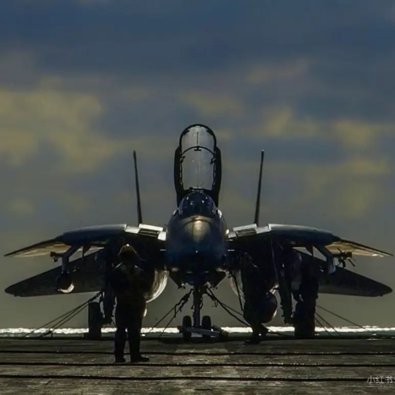 F-14战斗机