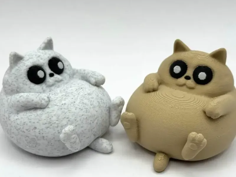 慵懒胖猫
