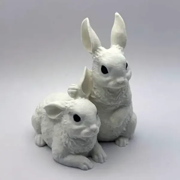 Two Bunnies