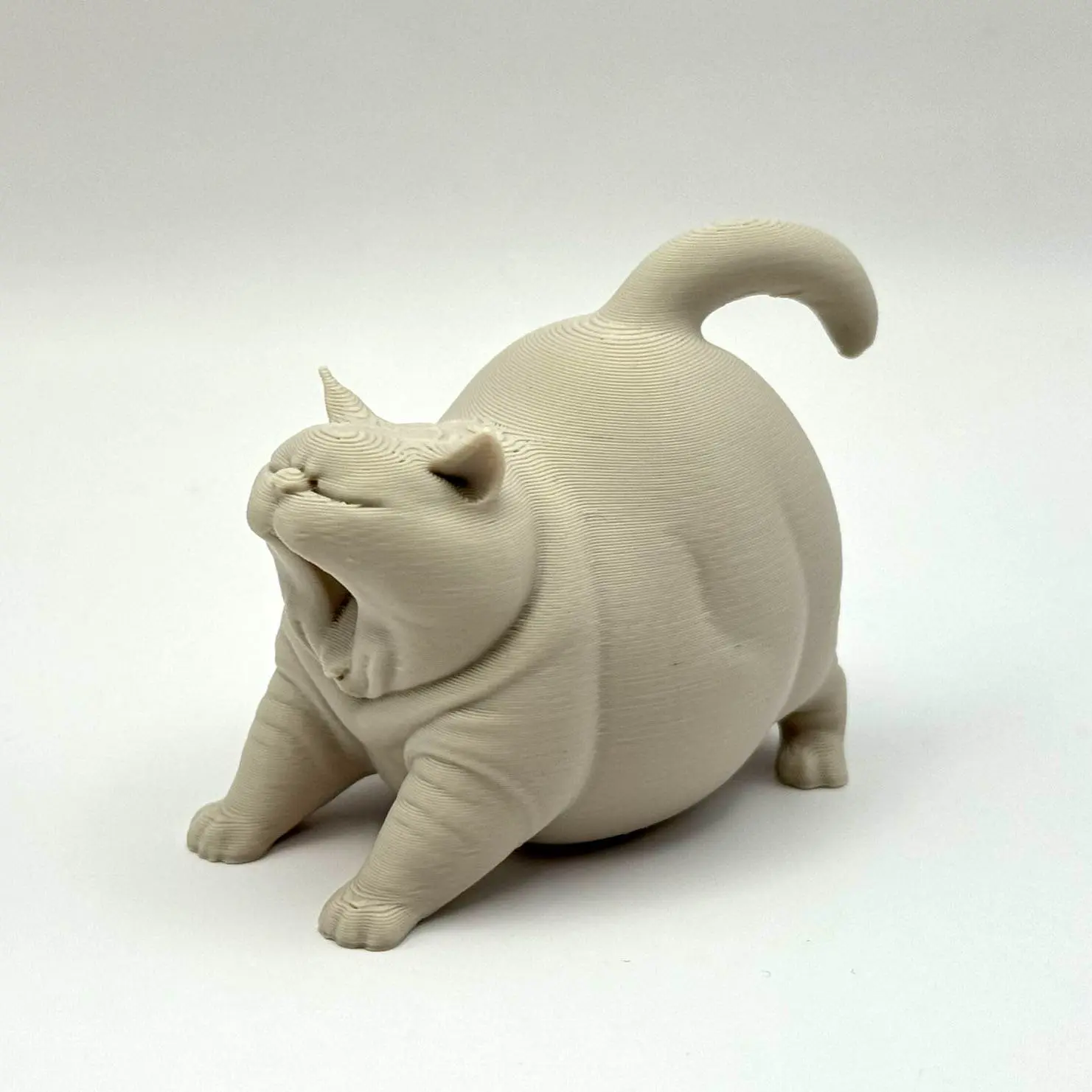 打哈欠的胖墩猫
