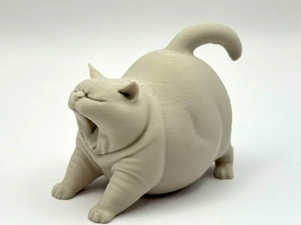 打哈欠的胖墩猫