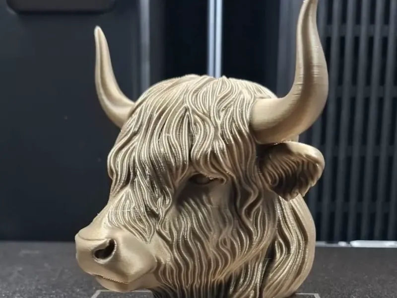 Highland Cow Head Bust