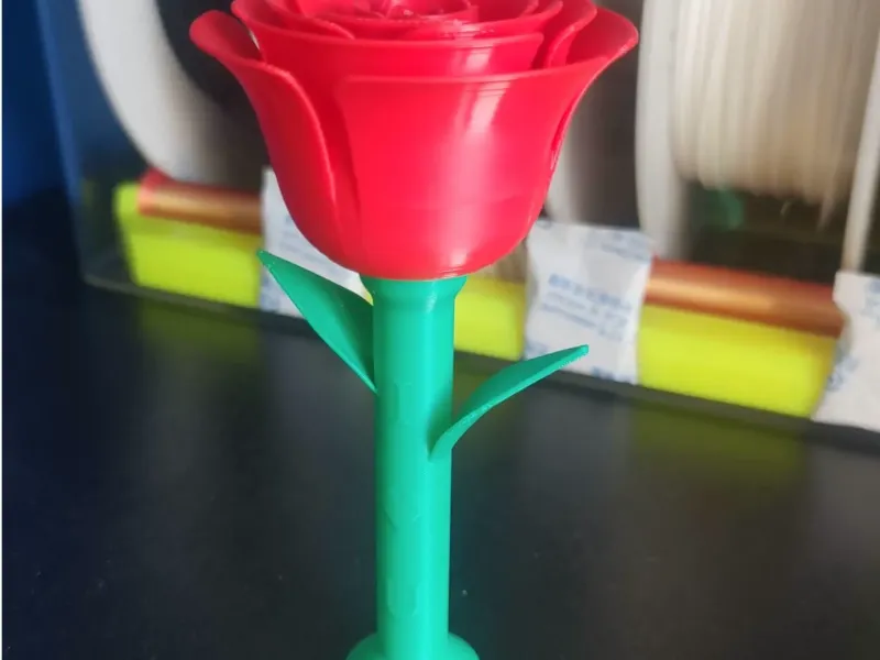 玫瑰花