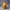 VASE 0047 - TURING VASE