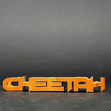Text Flip - Cheetah