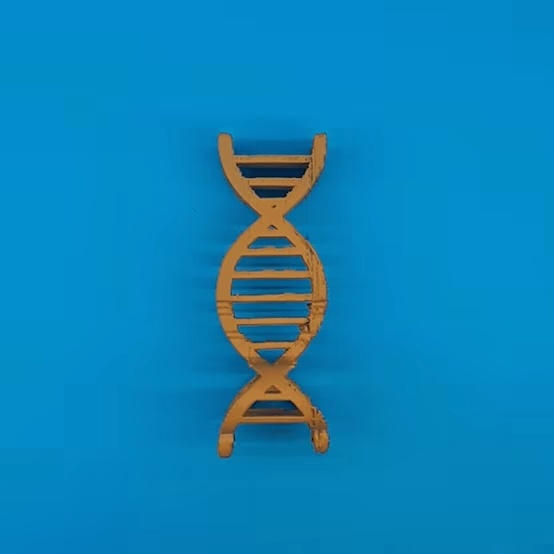 Text Flip: Gene - Key