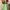 Cute Simple Spiral Flower Vase
