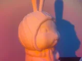 兔子-0