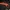 CSGO 爪子刀