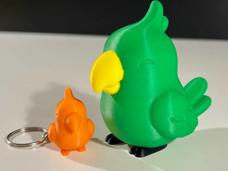 Cute Parrot