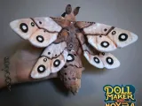 【独家模型】组装经典蝴蝶-4
