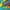 龙年限定：直跳伸缩龙杖OTF