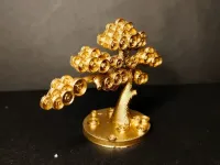 小发财树