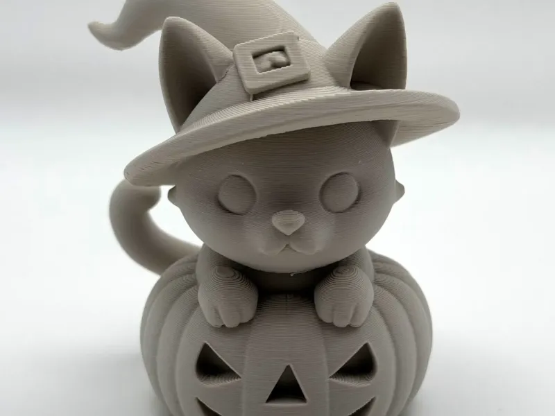 Pumpkin Cat
