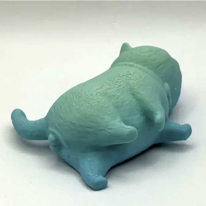 The Chilling Cat