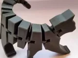 猫 关节可活动-0