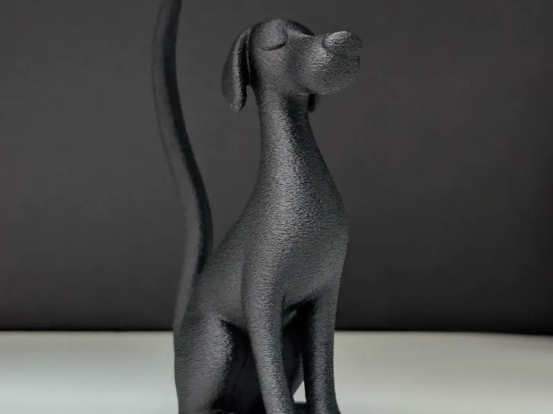 Elegant Dog