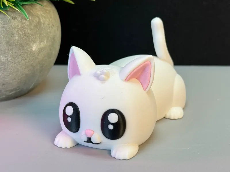 可爱猫