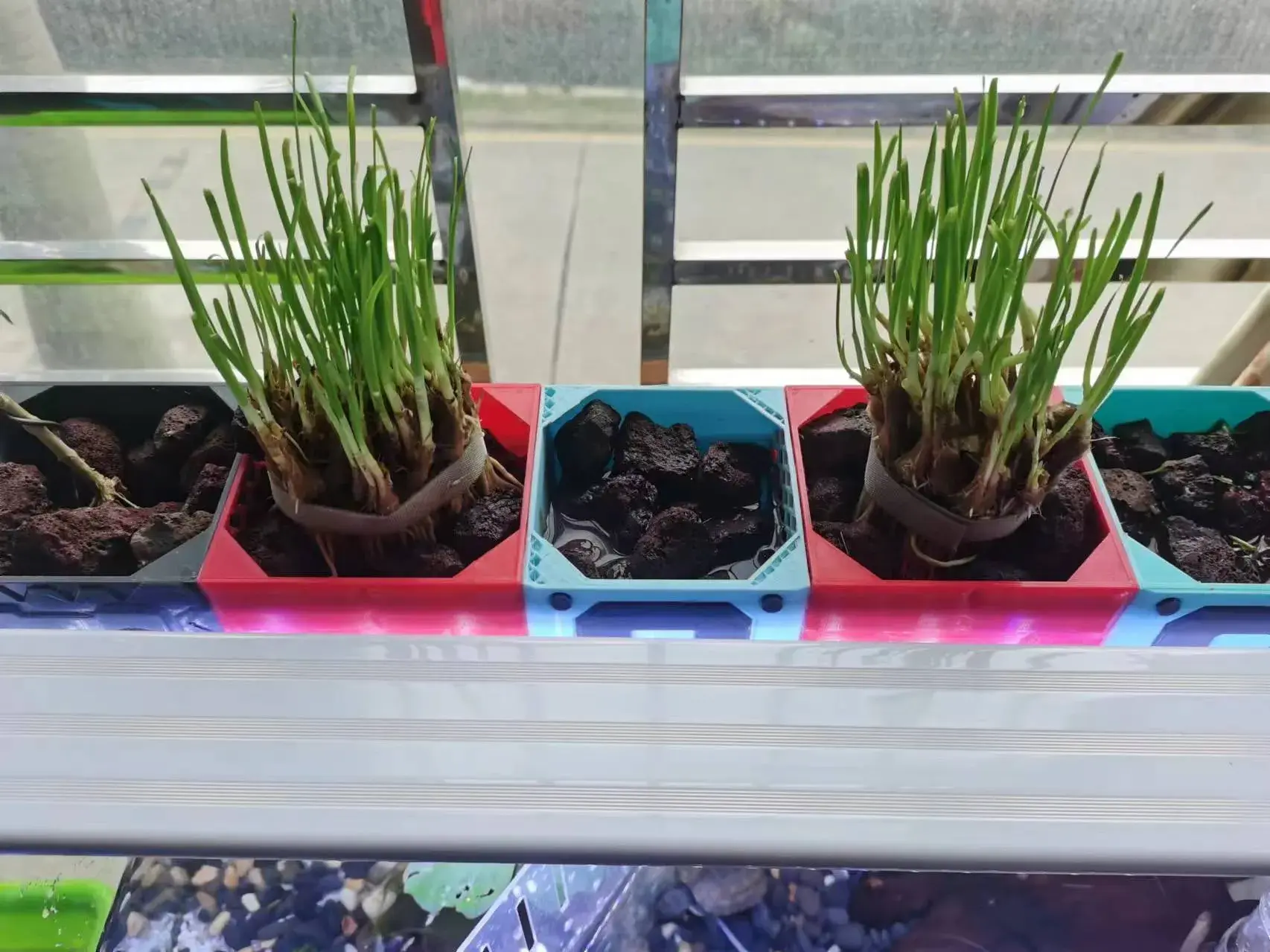 鱼缸龟缸植物水槽过滤系统-马里奥风格