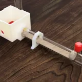 单试管新后小群落蚁巢