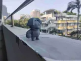 鸡你太美-高质量坤-2