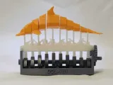 游泳的海豚-0