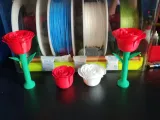 玫瑰花-1