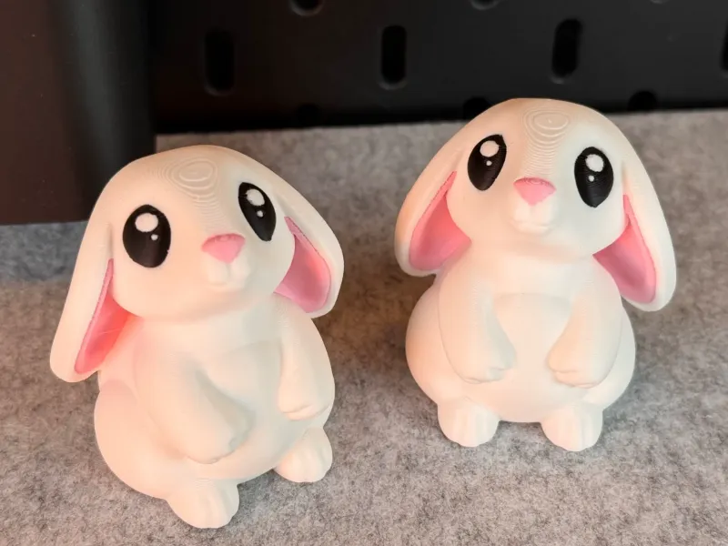 可爱兔子