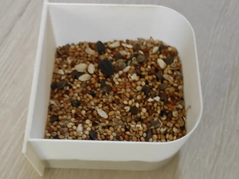 鹦鹉专用食盒