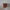 Simple flower pot – Pot de fleur simple
