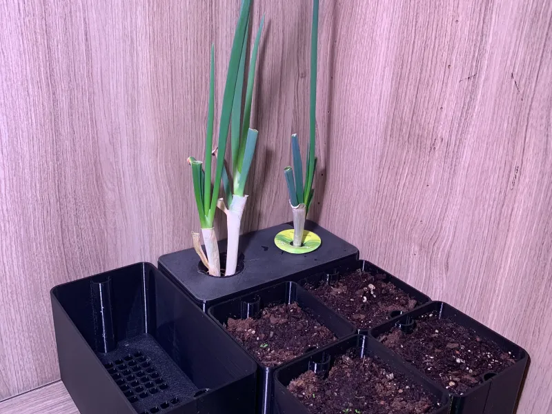 阳台四季种植套件(可水培)