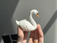 小天鹅