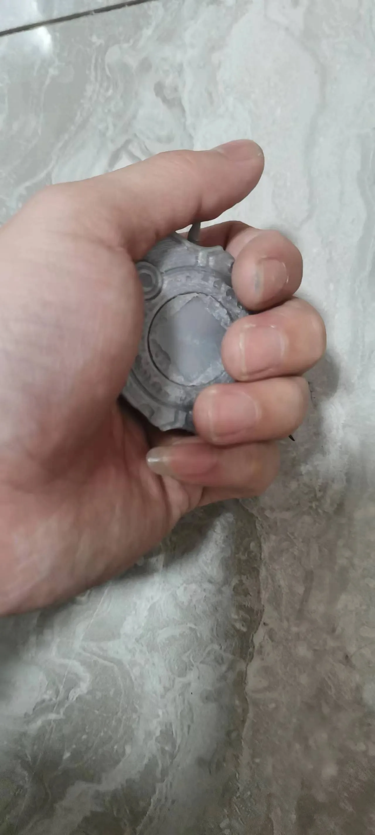 数码宝贝大冒险神圣计划暴龙机