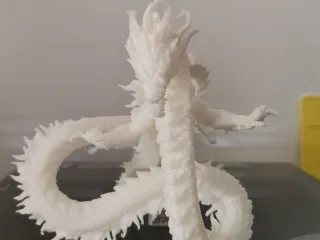 龙