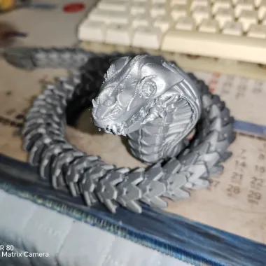 眼镜蛇-0